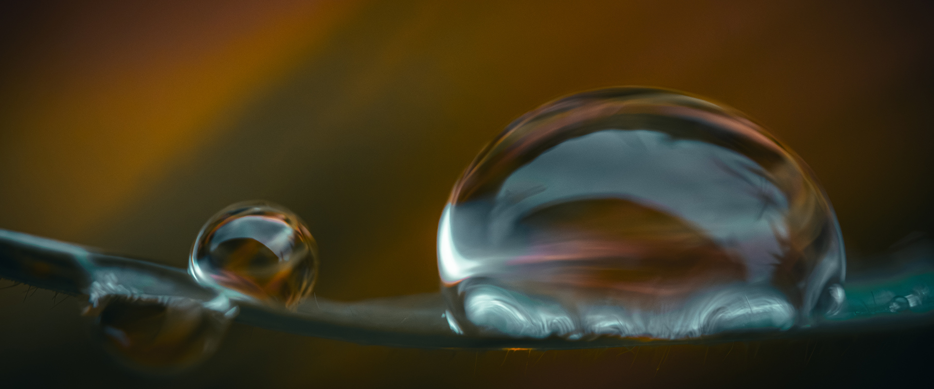 FXH14035-Verbessert-RR-slider1920